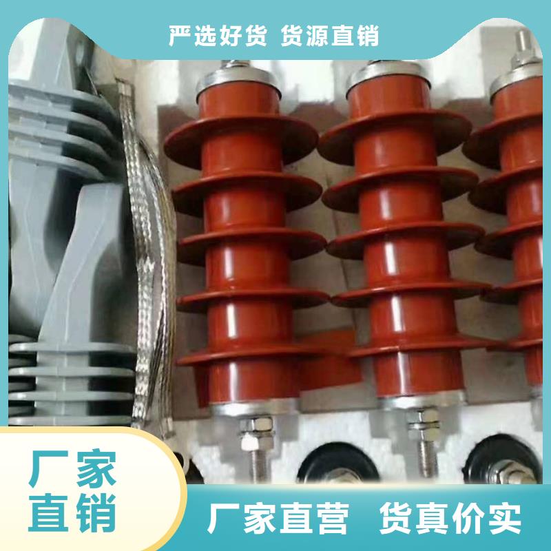 氧化锌避雷器户外高压真空断路器品质信得过
