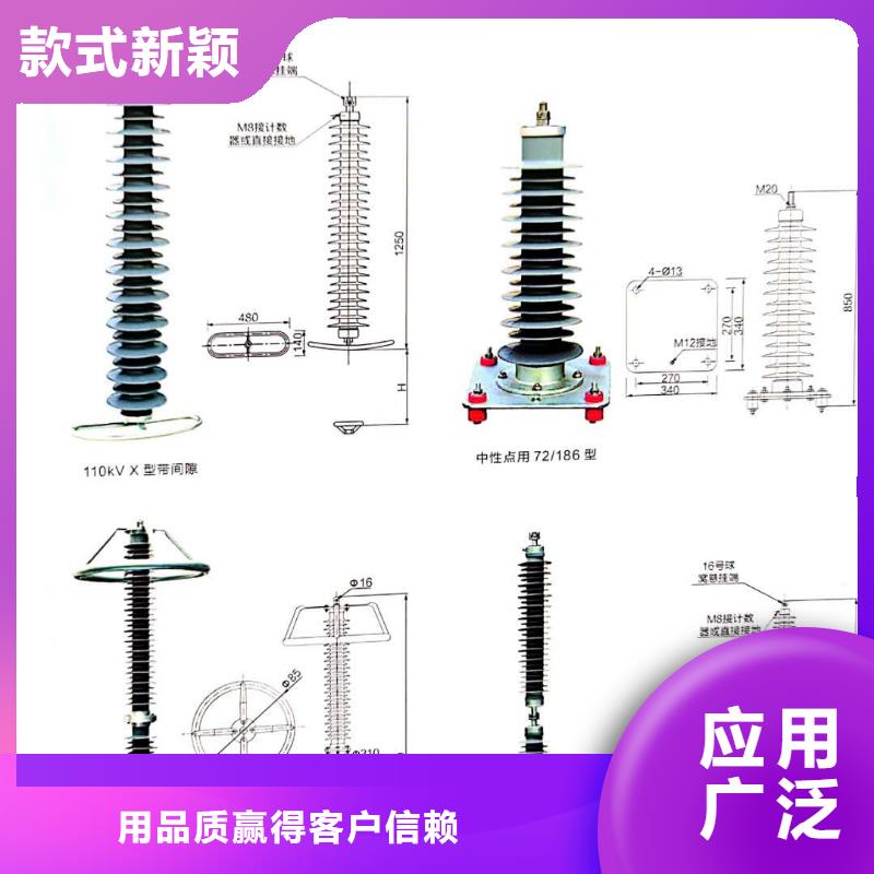 氧化锌避雷器,高压接地开关全品类现货