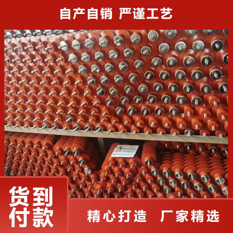 氧化锌避雷器_户外高压真空断路器48小时发货