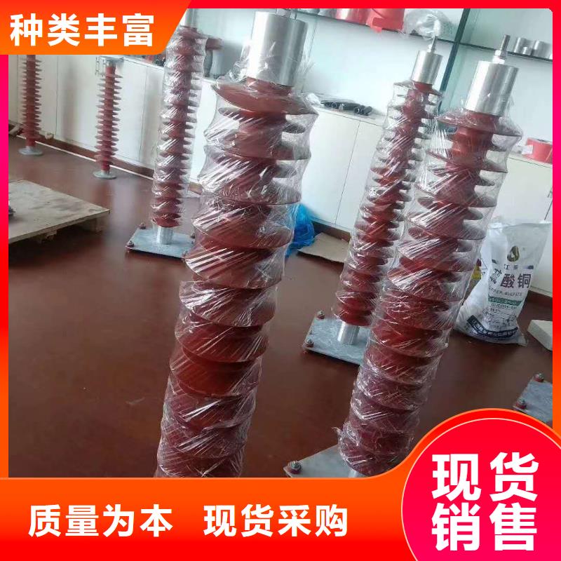 【氧化锌避雷器】PT手车支持定制