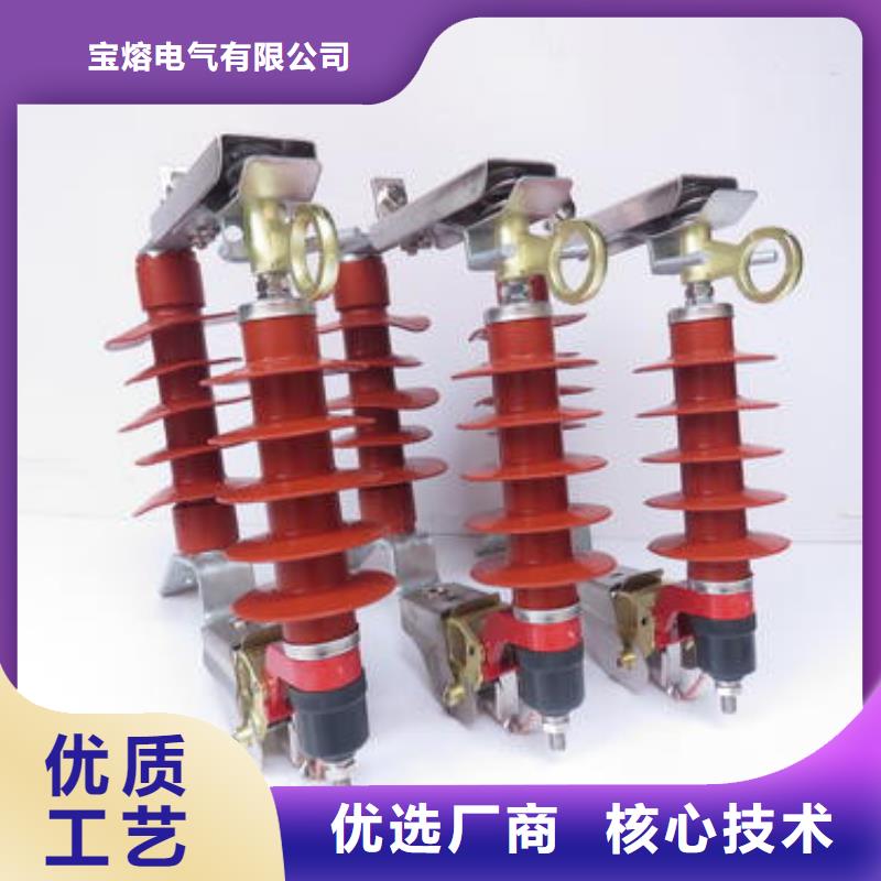氧化锌避雷器高压保险丝保险管型号全价格低