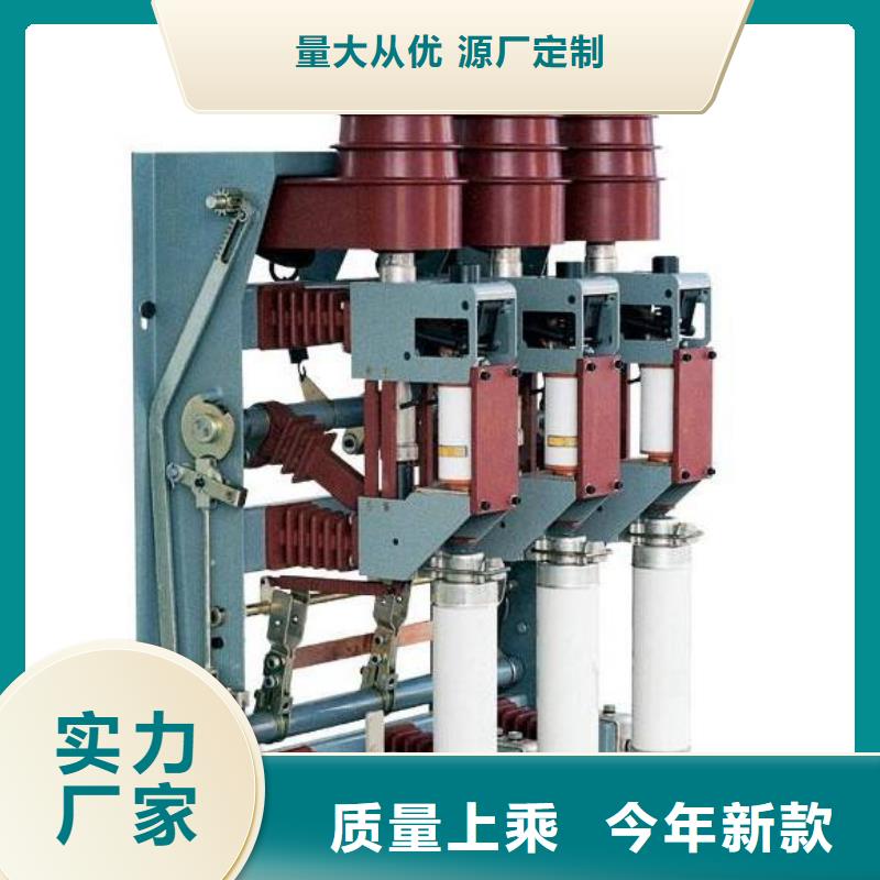 【高压负荷开关】户内高压真空断路器一站式采购商家