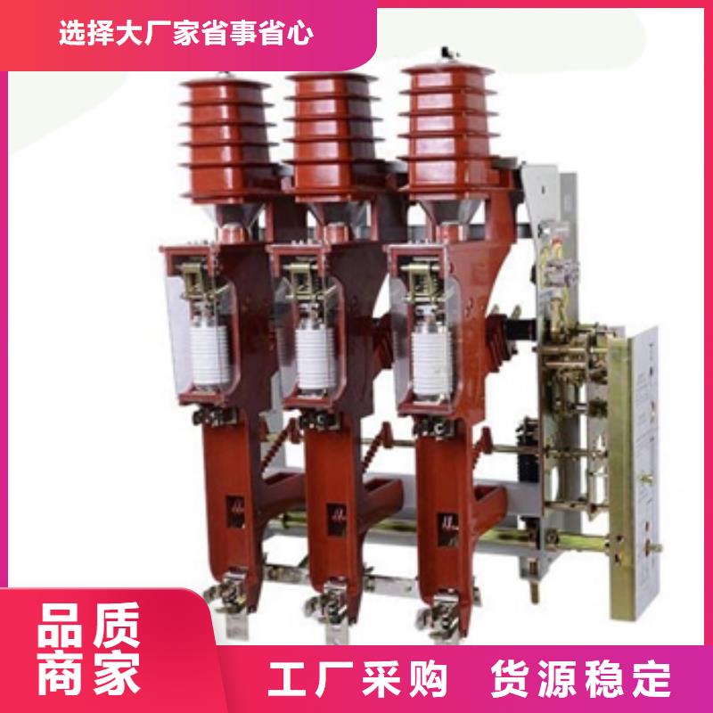 高压负荷开关FKN12-12/630A一周内发货