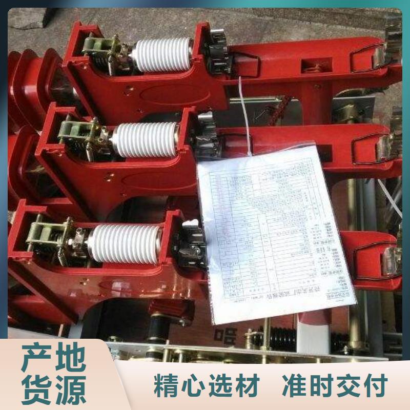 高压负荷开关高压氧化锌避雷器专业生产团队