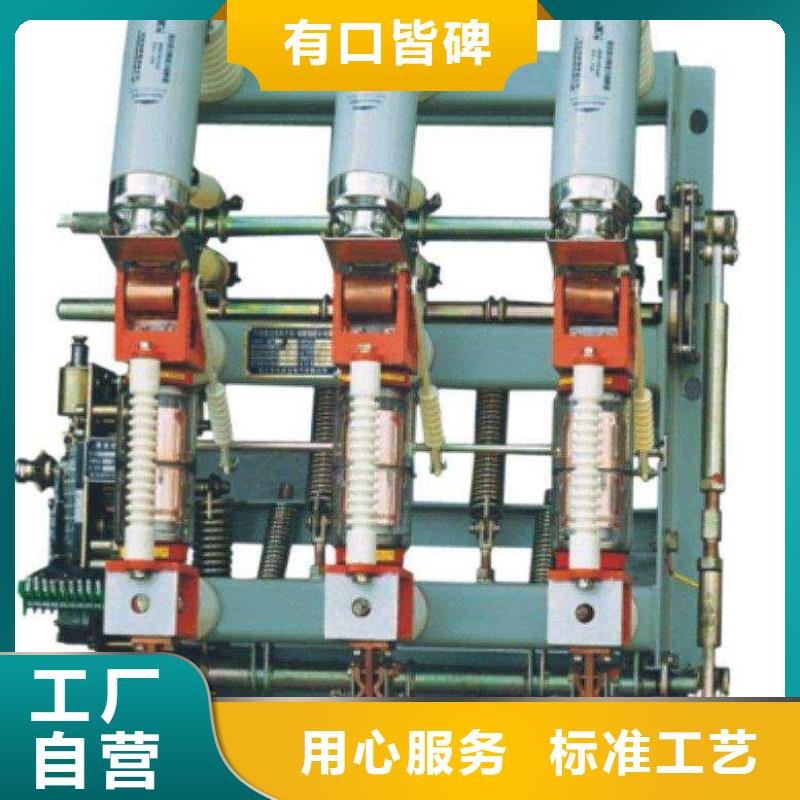 高压负荷开关高压氧化锌避雷器专业生产团队
