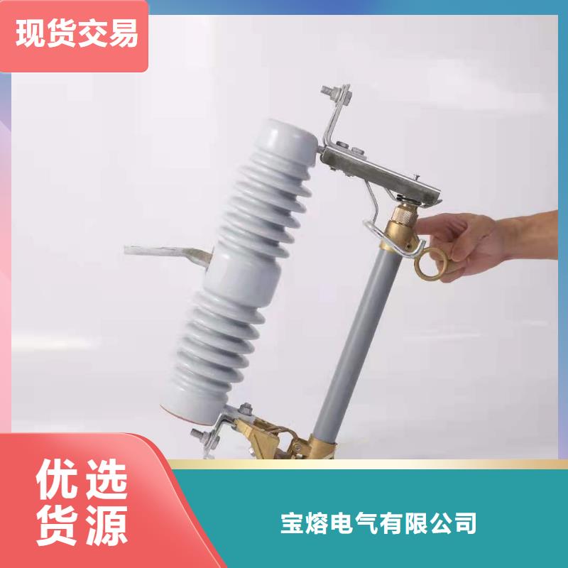 跌落式熔断器XRNP-10KV高压限流熔断器量大从优