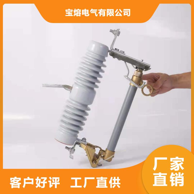 跌落式熔断器XRNT-12KV熔断器真材实料加工定制