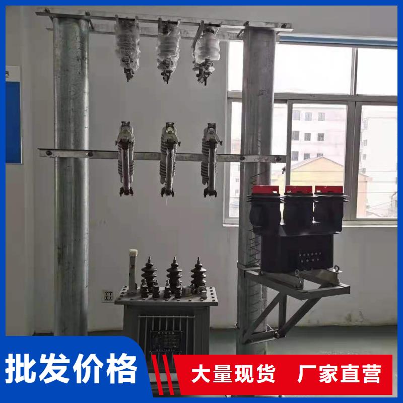 跌落式熔断器高压氧化锌避雷器现货销售