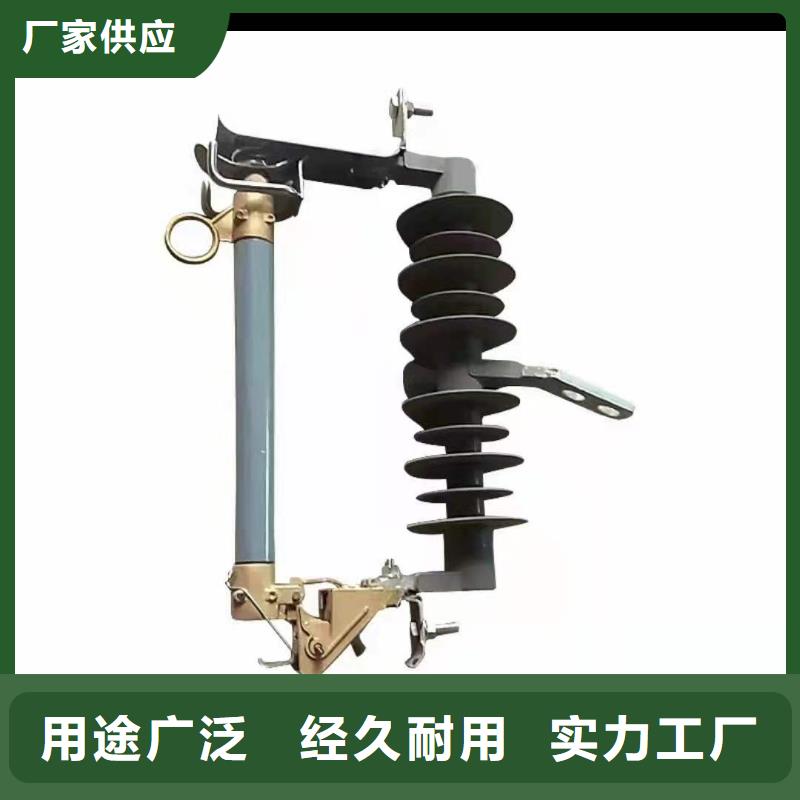 跌落式熔断器FKN12-12/630A实力厂家