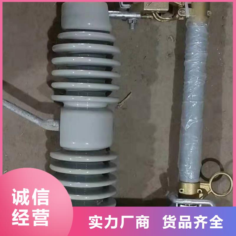 跌落式熔断器XRNT-12KV熔断器真材实料加工定制
