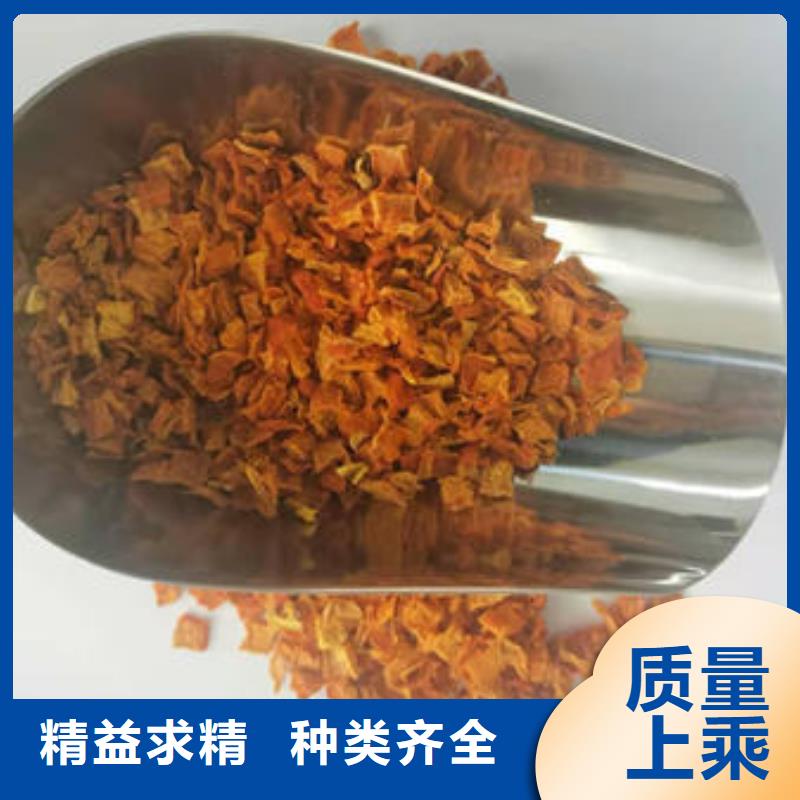 【南瓜丁】羽衣甘蓝粉品种全