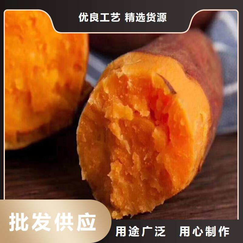 紫薯苗羽衣甘蓝粉实力商家供货稳定