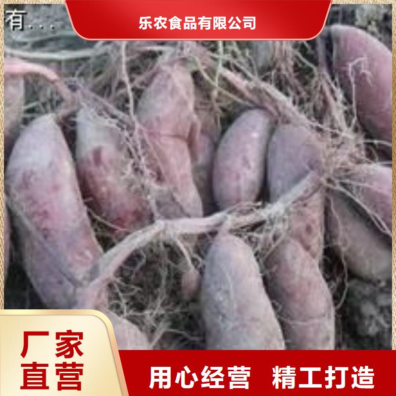 紫薯苗紫薯雪花片厂家原厂制造