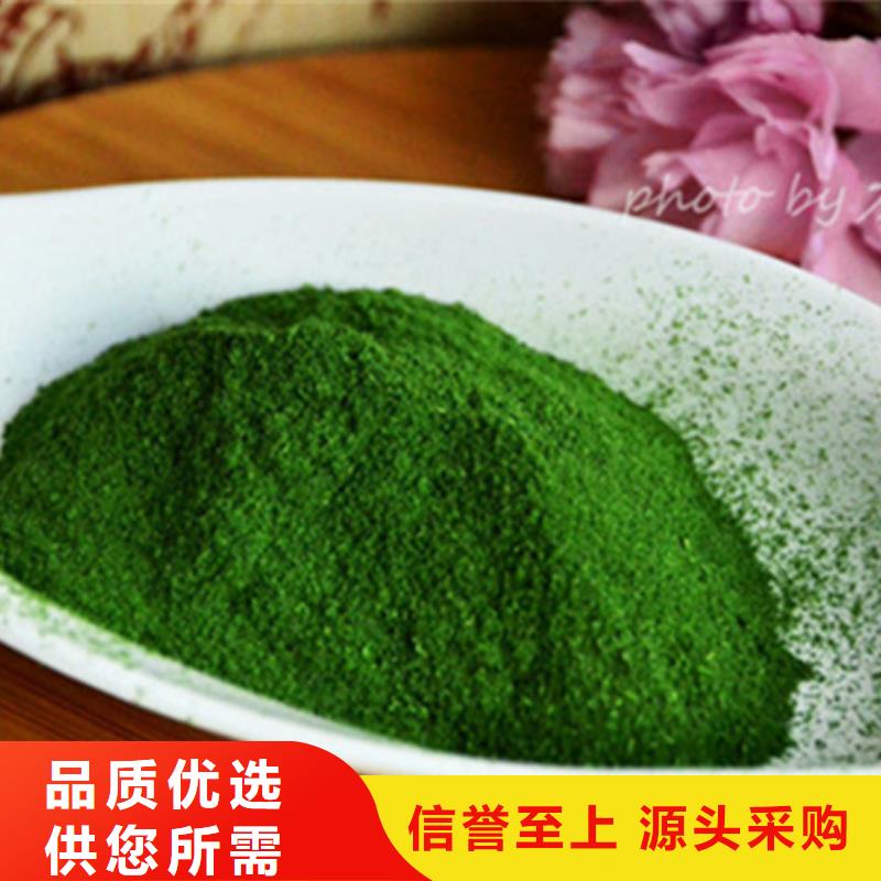 菠菜粉在线报价