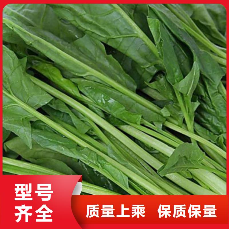 菠菜粉售后完善