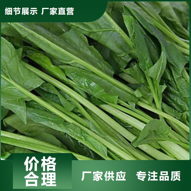 菠菜粉品质放心