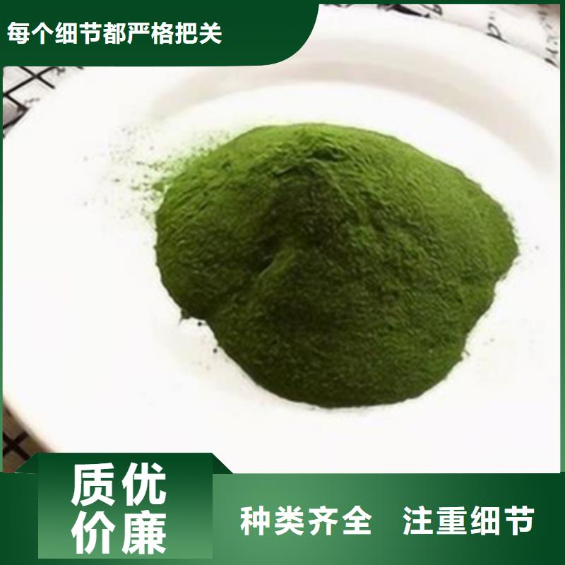 菠菜粉优惠报价