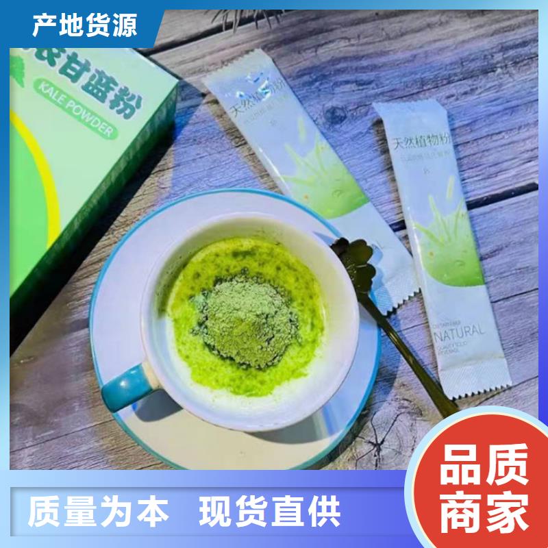 脱水羽衣甘蓝厂家