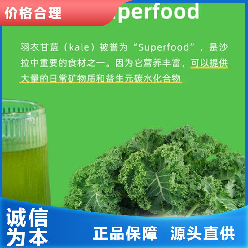 库存充足的羽衣甘蓝粉批发商