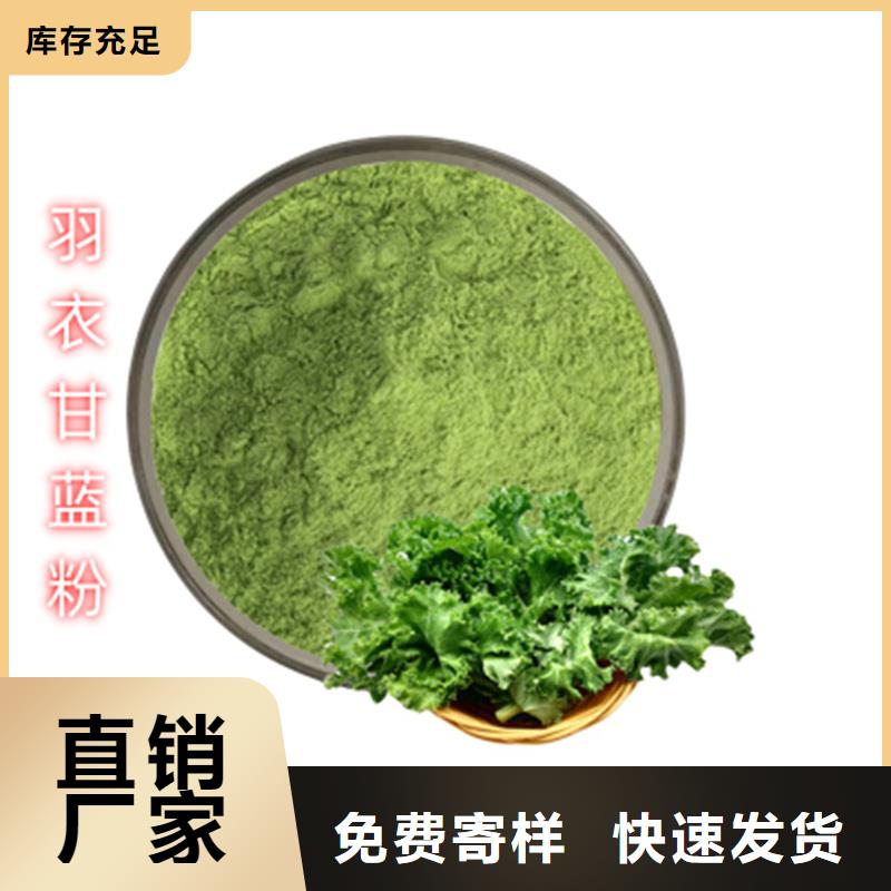 优选：羽衣甘蓝粉企业
