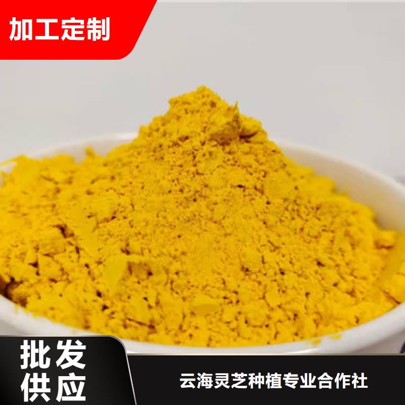 南瓜粉灵芝孢子粉联系厂家