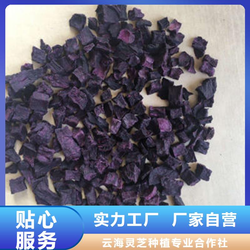 【紫薯丁】-灵芝破壁孢子粉批发商