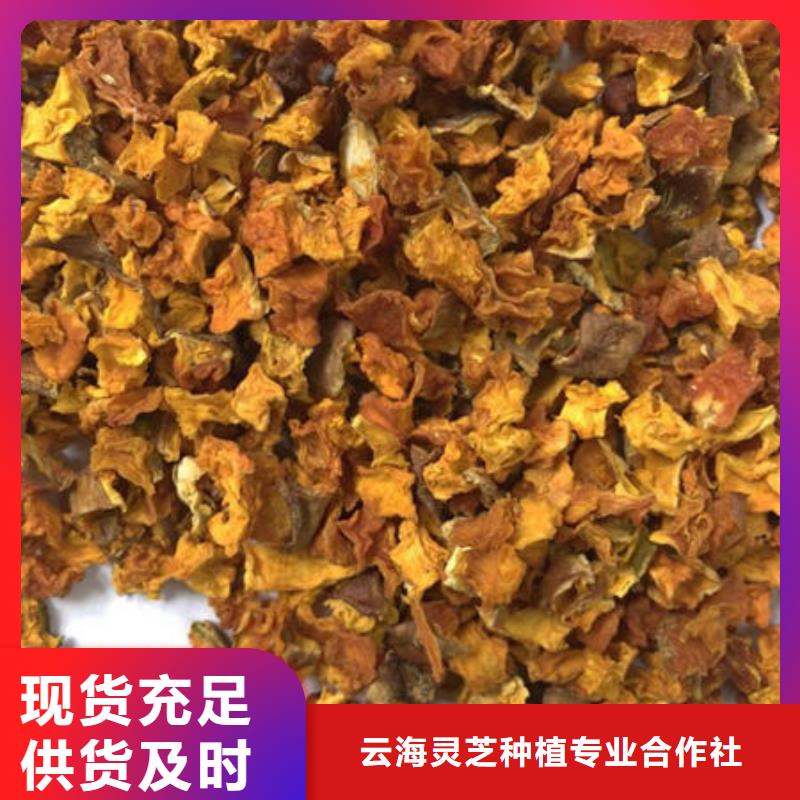 【南瓜丁大别山灵芝选择大厂家省事省心】