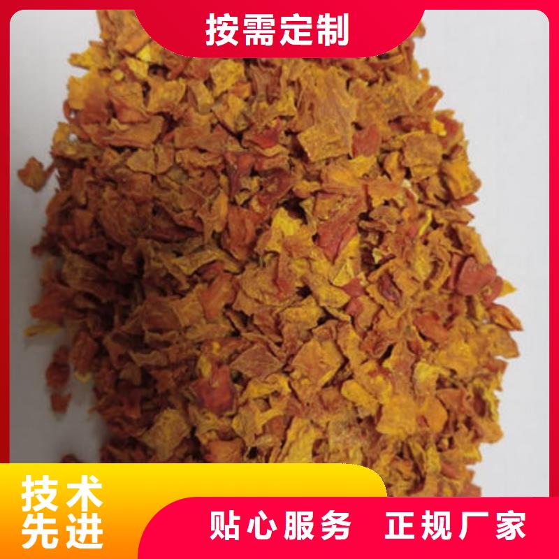 【南瓜丁】灵芝盆景源头实体厂商