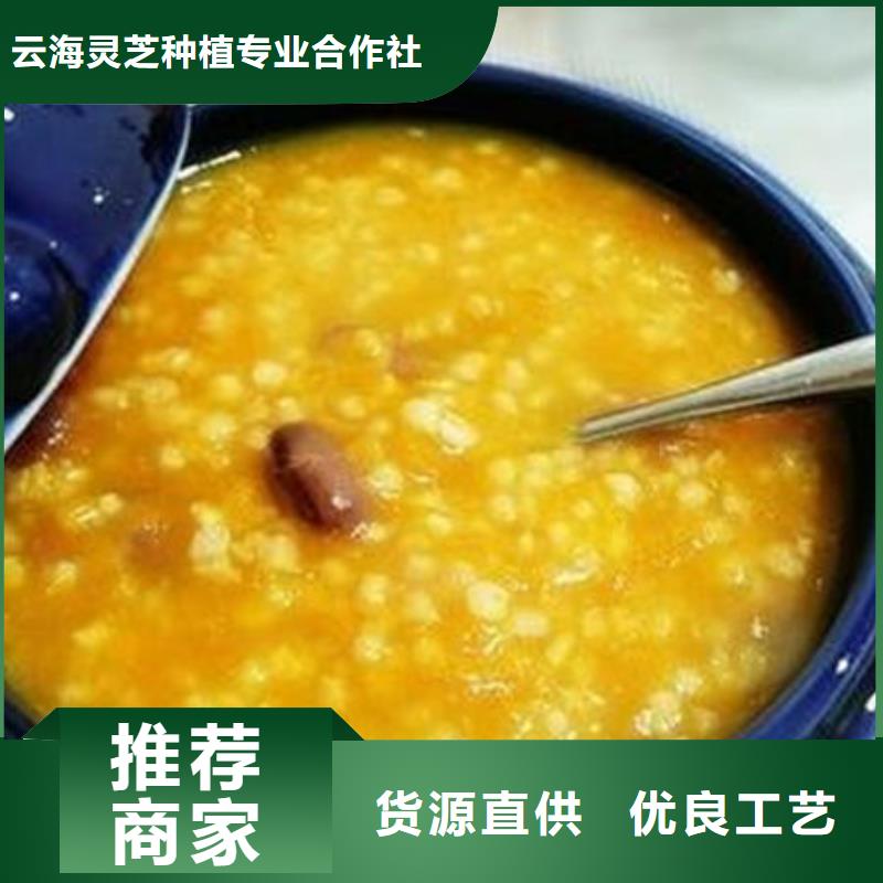 南瓜丁灵芝切片价格实惠工厂直供