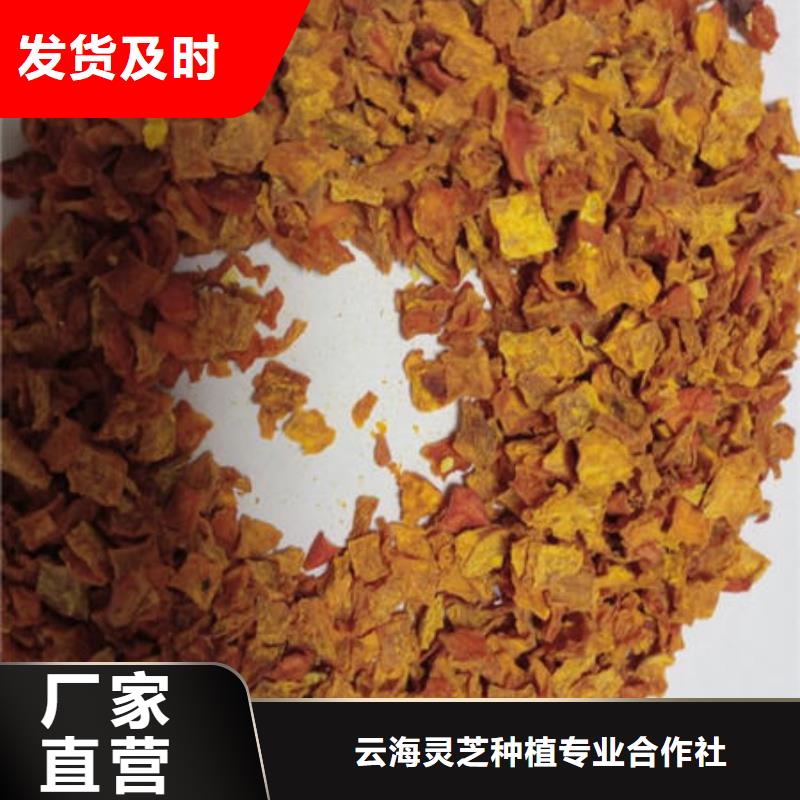 南瓜丁灵芝盆景用品质赢得客户信赖