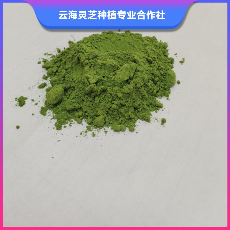 菠菜粉灵芝粉源厂定制