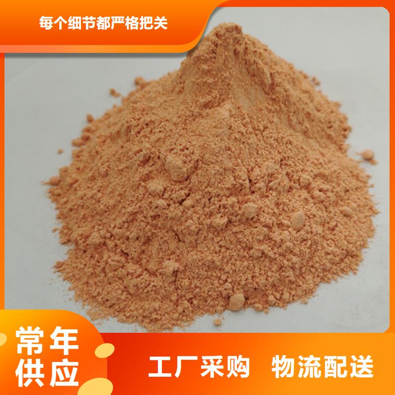 胡萝卜粉灵芝菌种定制定做