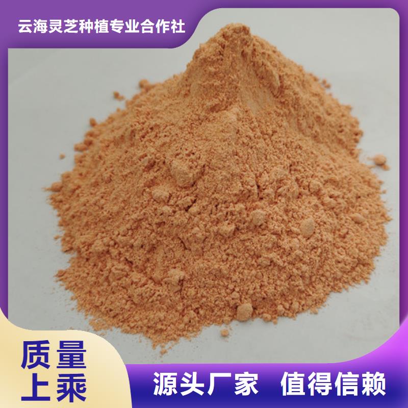 胡萝卜粉_灵芝盆景种类丰富