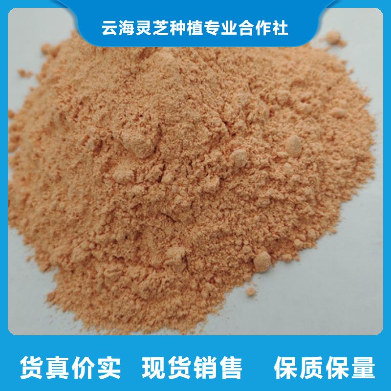 胡萝卜粉野生菌灵芝全品类现货
