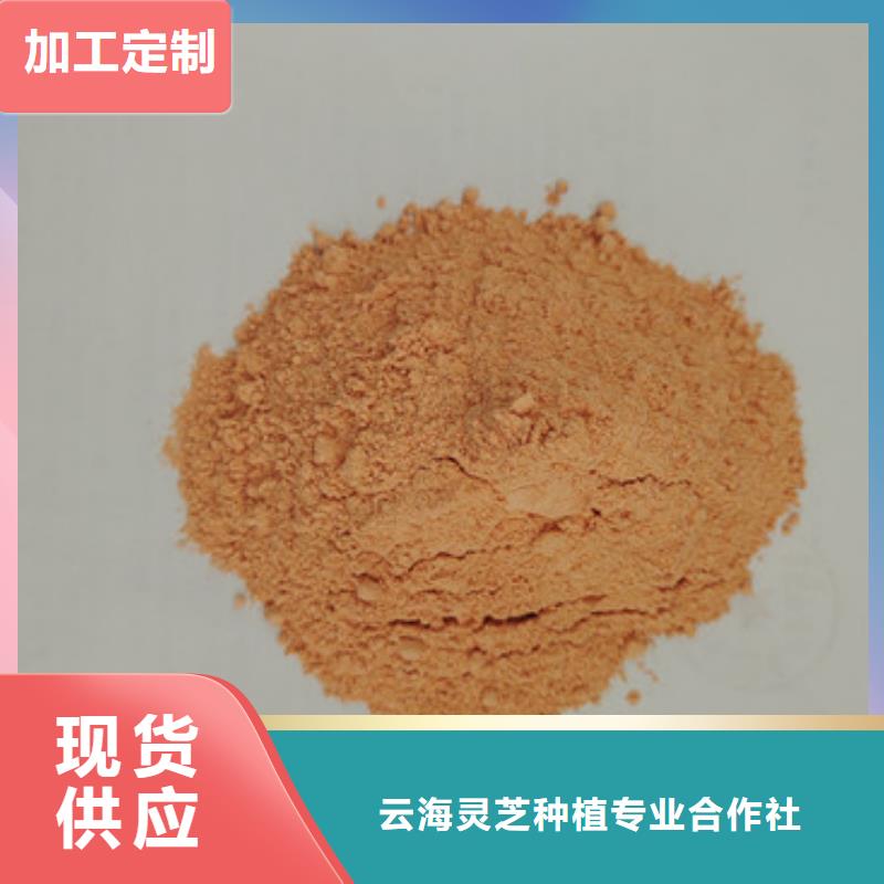 【胡萝卜粉】灵芝孢子粉批发厂家自营