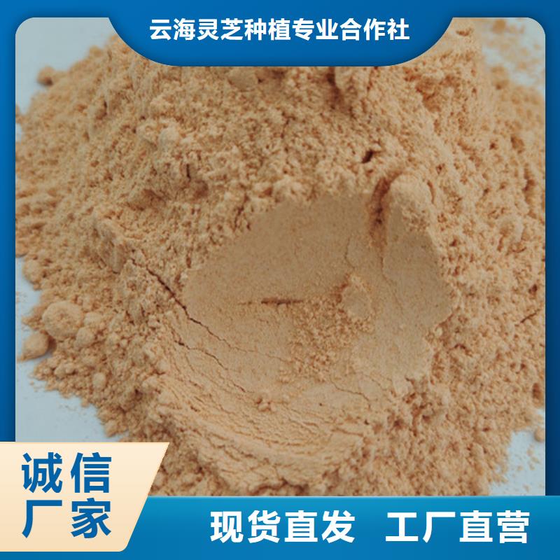 胡萝卜粉灵芝菌种多年实力厂家