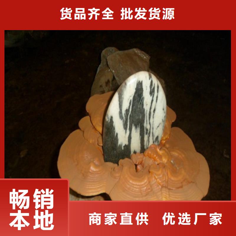 灵芝孢子粉-灵芝破壁孢子粉来图定制量大从优