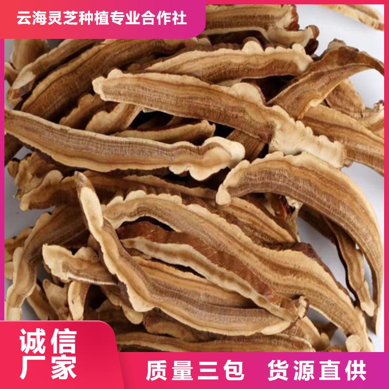 灵芝孢子粉可零售可批发