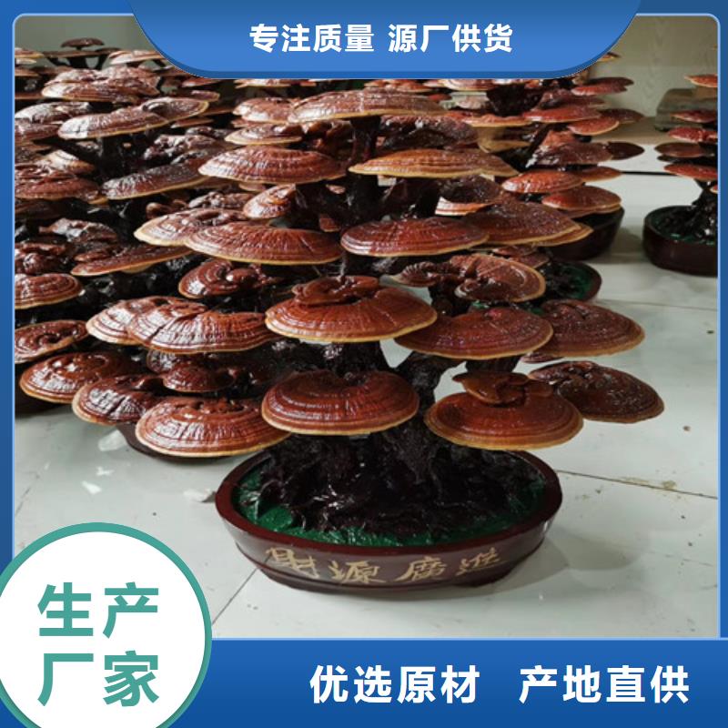 灵芝孢子粉-灵芝破壁孢子粉来图定制量大从优