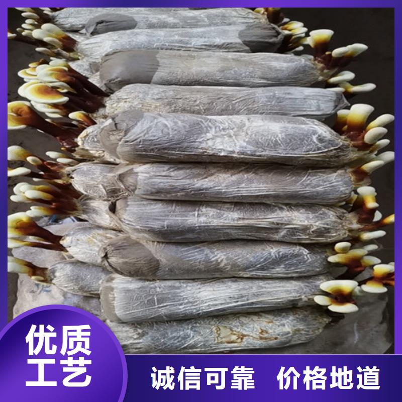 灵芝孢子粉支持定制
