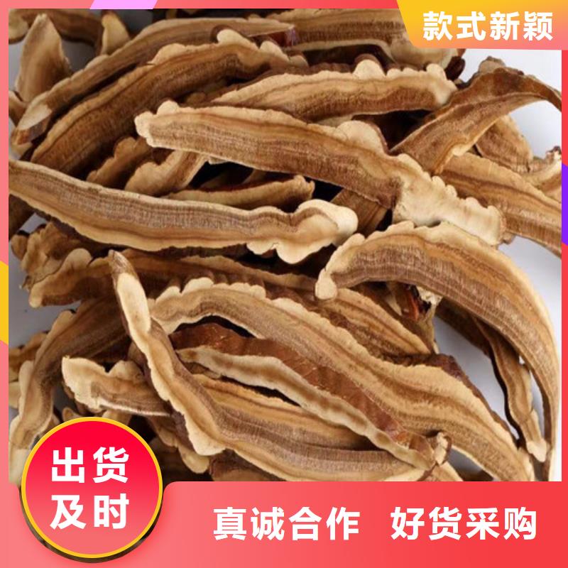 灵芝孢子粉【灵芝】真材实料加工定制