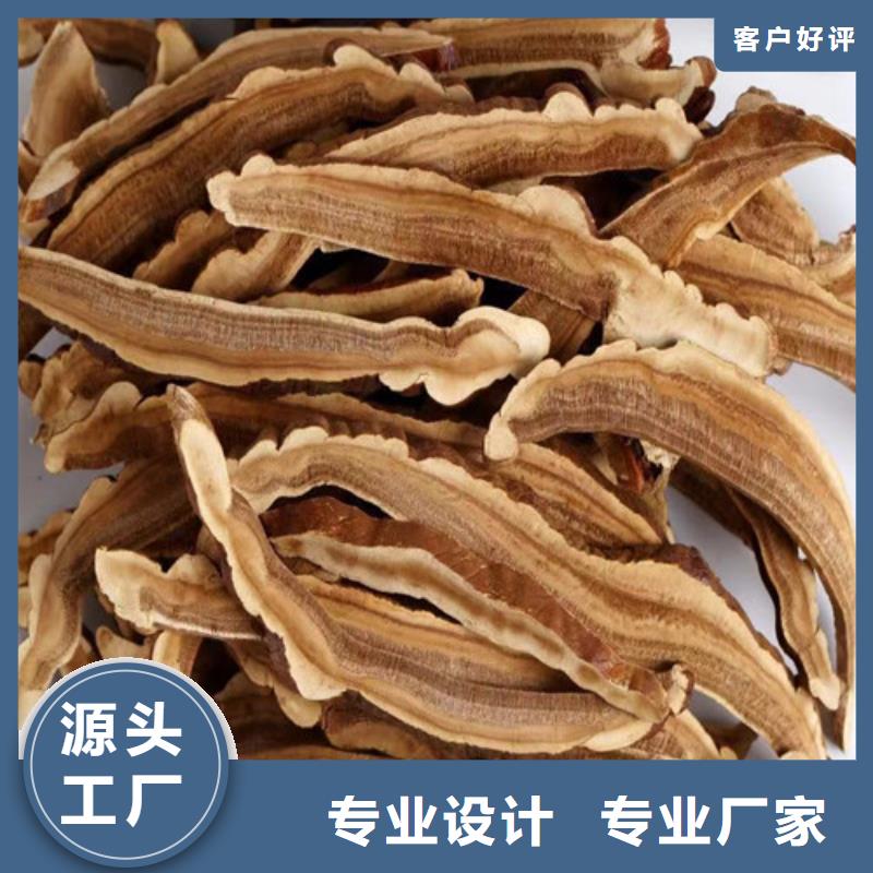 【灵芝孢子粉实力商家】