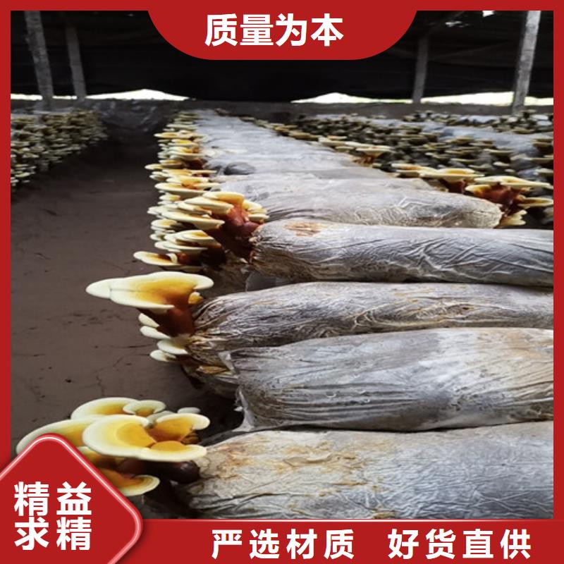 灵芝孢子粉拒绝中间商