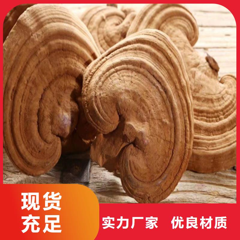 【灵芝孢子粉实力商家】