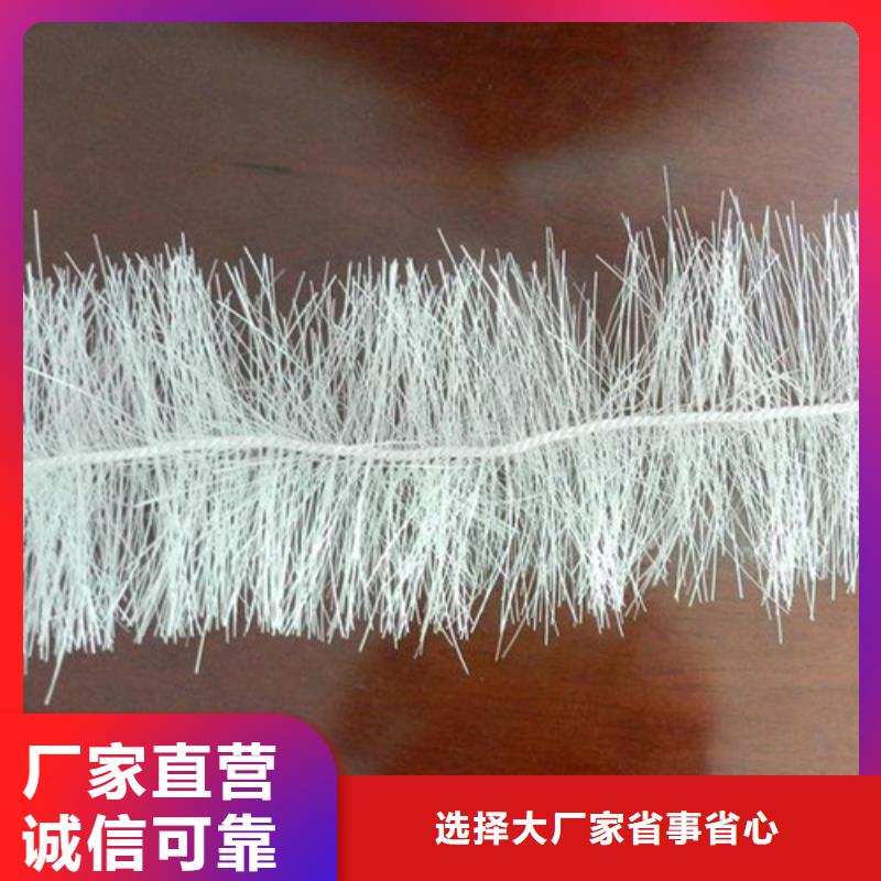 弹性填料-柱状活性炭今日新品