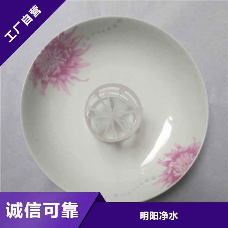 鲍尔环填料-蜂窝斜管支持加工定制