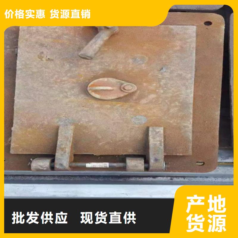炉门-精密铸造件厂家直接面向客户