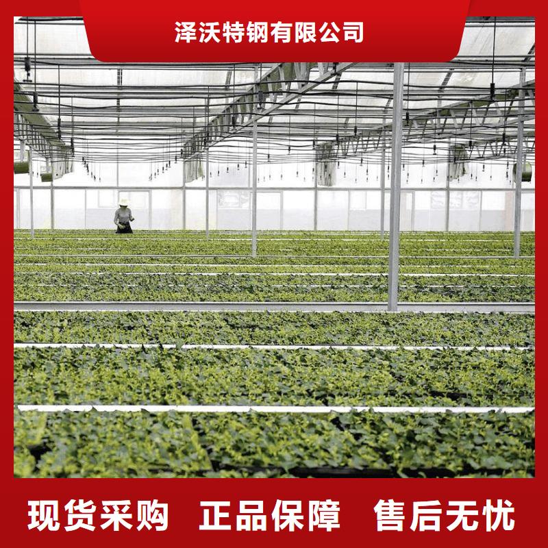 【大棚管2连体大棚可零售可批发】
