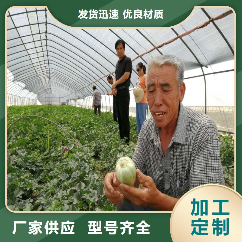 大棚管2【大棚管】畅销本地