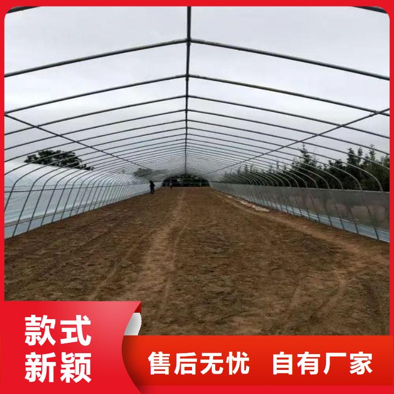 大棚管2大棚管销售的是诚信